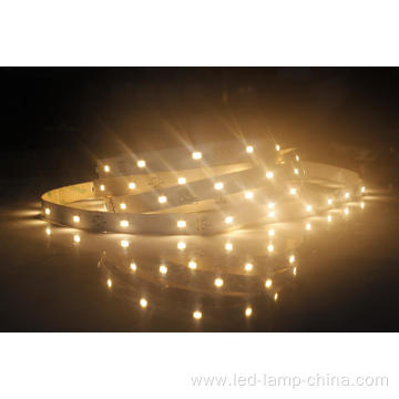 5630 Led Strip Warm 12v SMD5630 led strip light Rigid